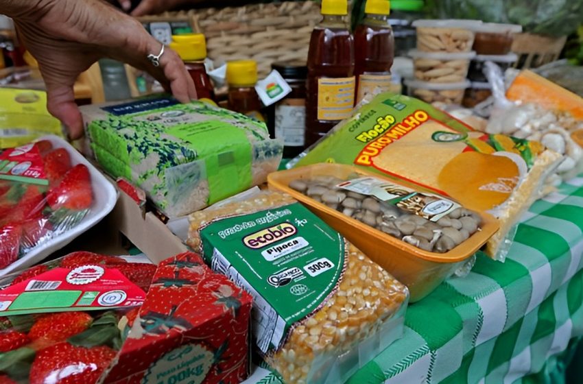  Governo garante R$ 50 milhões na compra de produtos da agricultura familiar para a alimentação escolar na Bahia