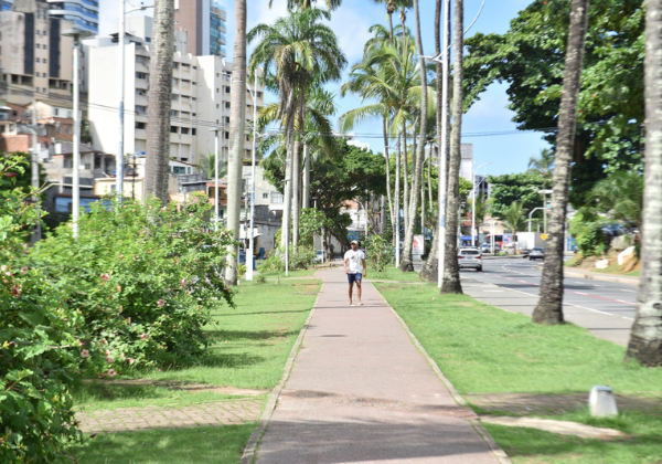  Prefeitura inicia obras de recuperação do canteiro central da Avenida Centenário