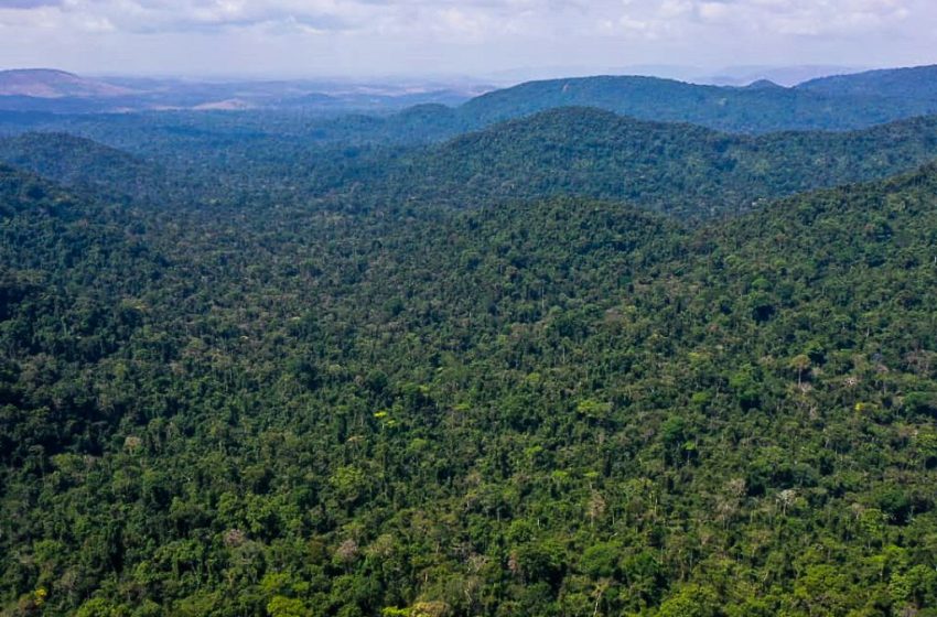  Noruega repassa mais de R$ 270 mi ao Fundo Amazônia em nova doação