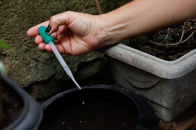  Bahia teve aumento de 150% no número de casos prováveis de Zika em 2023