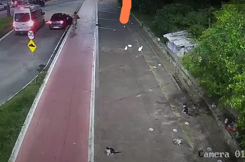  Câmeras de videomonitoramento na colônia de Piatã registram flagrante de abandono