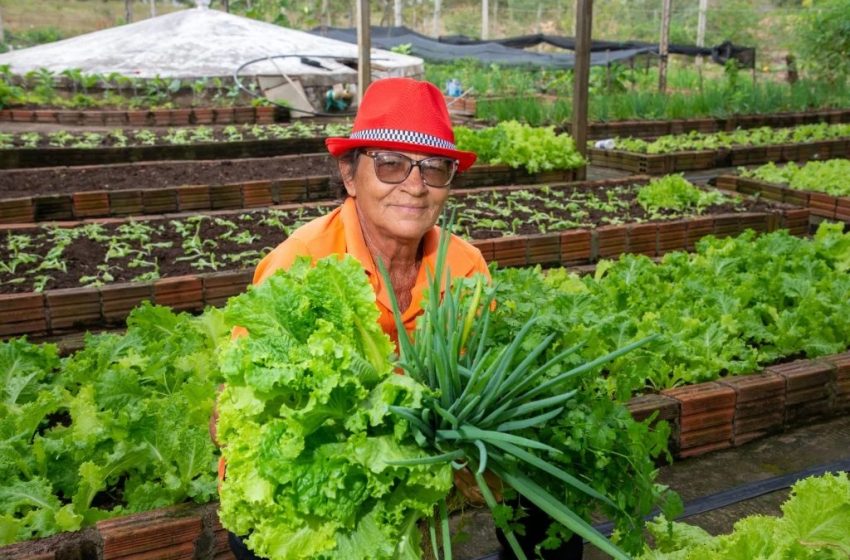  Projeto aprovado na Alba fortalece a agricultura familiar e a produção de orgânicos