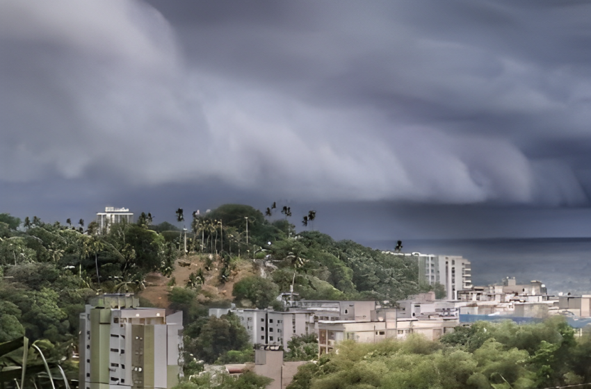  Codesal já realizou 4.687 vistorias ao longo da Operação Chuva