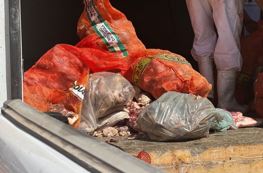  Uma tonelada de carne imprópria para consumo é apreendida durante operação policial