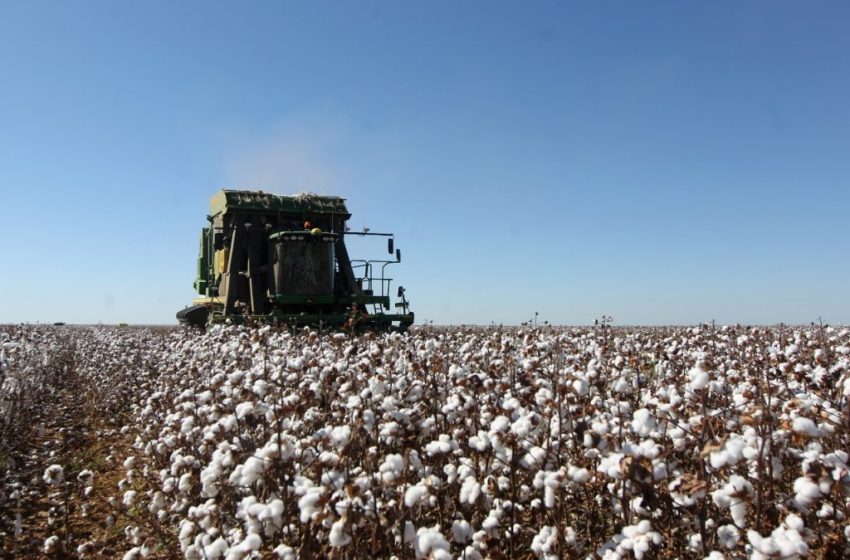  Fazenda aumenta previsão de crescimento do PIB para 2,5% este ano