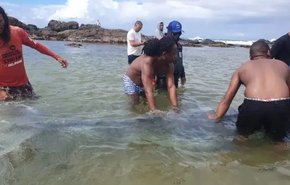  Filhote de baleia encalhado na praia de Itapuã é resgatado