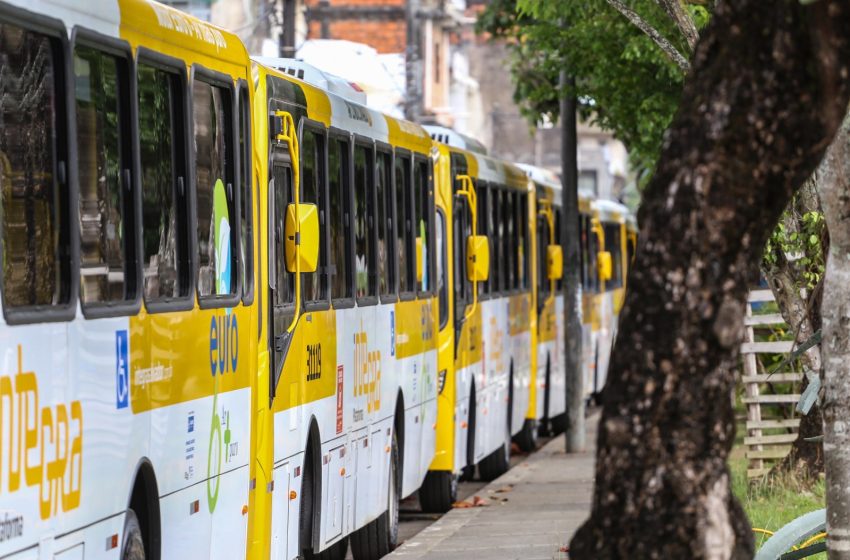  Linhas de ônibus passarão por adaptações e terão aumento de 36% em viagens diárias