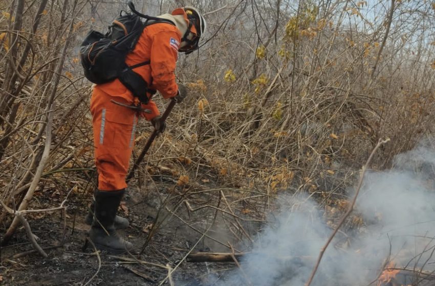  Bombeiros atuam em combate aos incêndios florestais na Chapada Diamantina