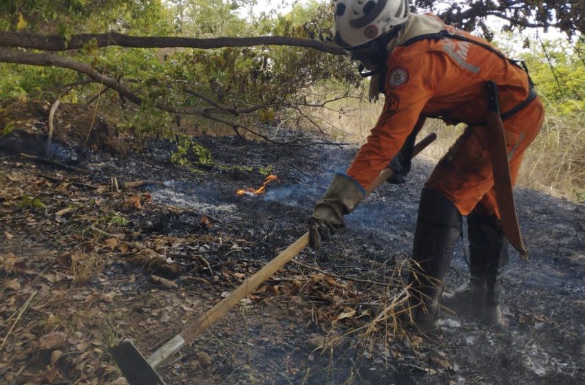  200 bombeiros seguem atuando no combate aos incêndios florestais na Chapada Diamantina