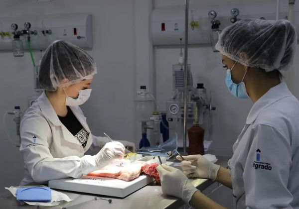  Fundação oferece 16 bolsas em curso de medicina