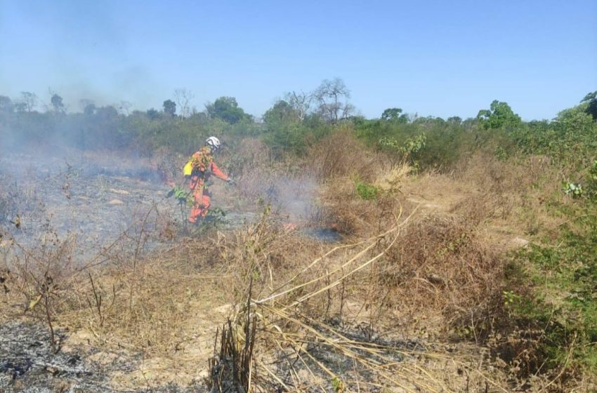  Mais de 220 bombeiros, 50 viaturas e brigadistas voluntários combatem os incêndios florestais no interior da Bahia