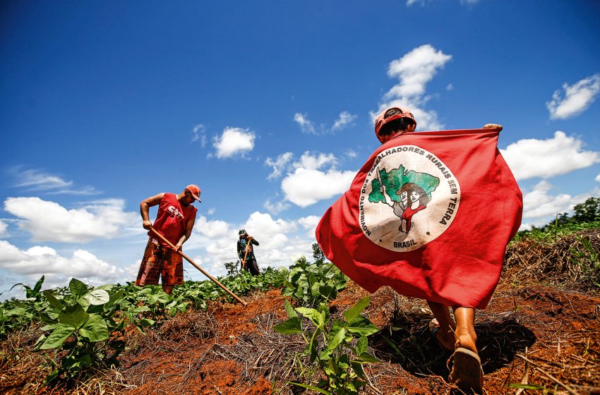  STF suspende despejo de famílias do MST em fazenda na Bahia