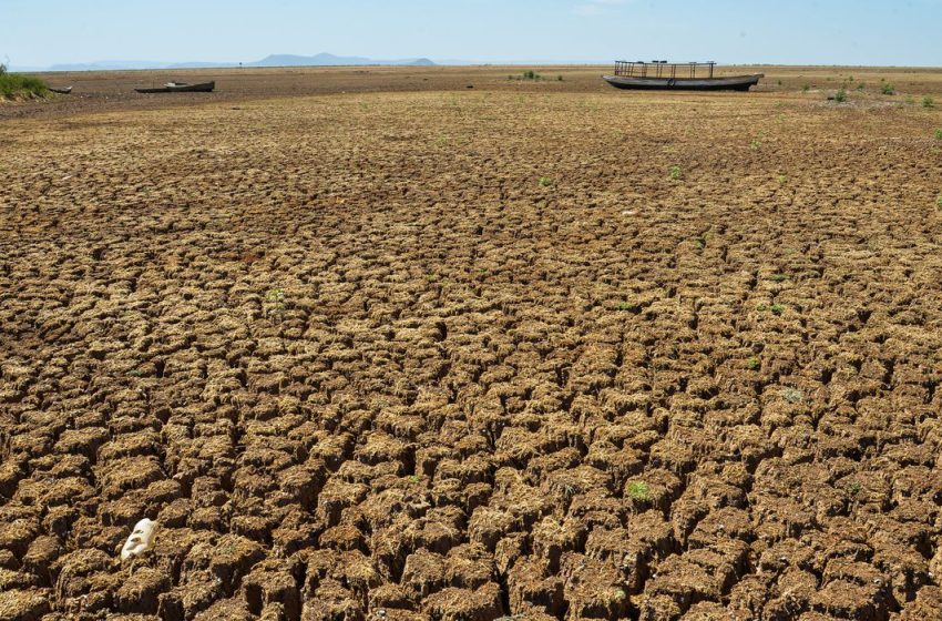  Mais de 90 municípios decretam estado de emergência na Bahia devido seca