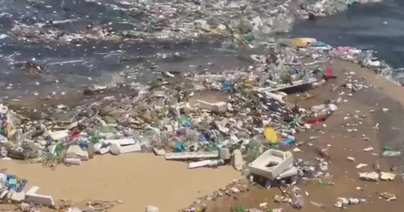  Trecho de praia em Salvador é tomado por lixo na faixa de areia