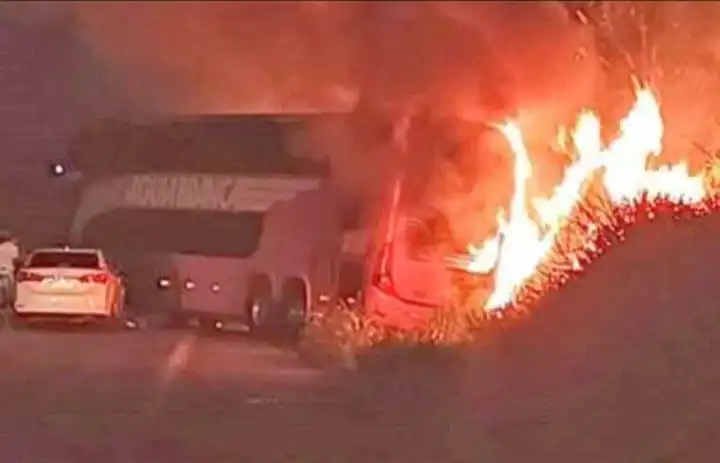  Ônibus pega fogo após batida com carreta em trecho da BR-101