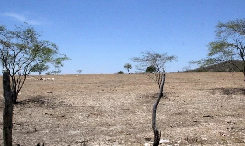  Bahia elabora plano de ações para enfrentamento da seca