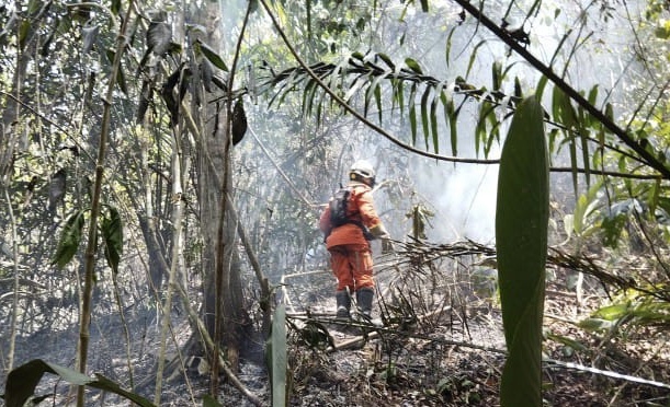  Bombeiros atuam no combate aos incêndios florestais na Chapada Diamantina e outras regiões da Bahia