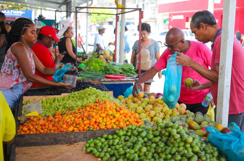  Mercados e feiras municipais são alternativas para composição da ceia de Natal 