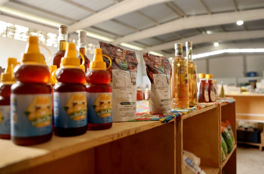  Produtos de cooperativas da agricultura familiar da Bahia são exportados para Portugal