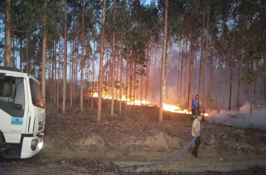  Prefeitura de Morro do Chapéu intensifica ações para combater incêndios e alerta para risco de tragédia ambiental