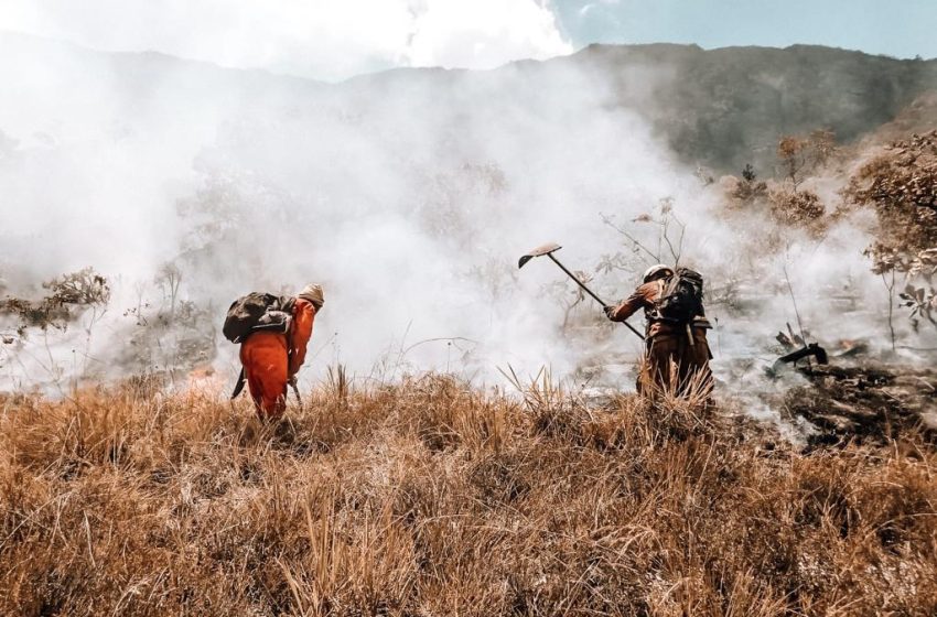  Bombeiros militares controlam incêndio florestal na área de proteção ambiental na Serra do Barbado