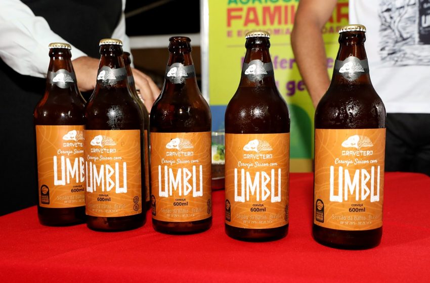  Cerveja de Umbu produzida pela agricultura familiar da Bahia será distribuída para todo o Brasil, em parceria com a Ambev