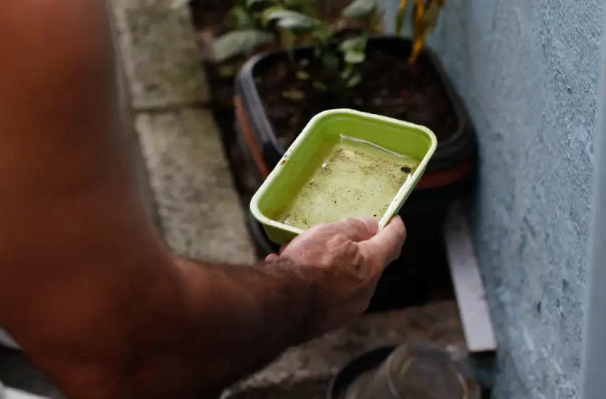  Casos de dengue cresceram 33% na Bahia em 2023