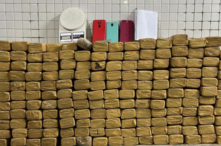  Troca de informações entre o BPATAMO e a Cipe Chapada resulta na apreensão de 163 kg de maconha