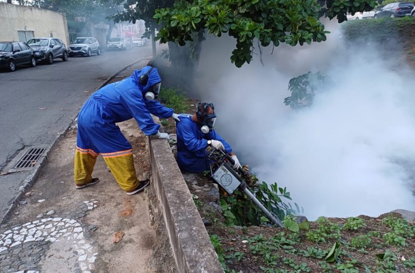  Salvador teve redução de 63% do número de casos de Aedes aegypti
