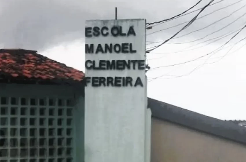  GCM resgata dois filhotes de jiboias em Escola de Salvador