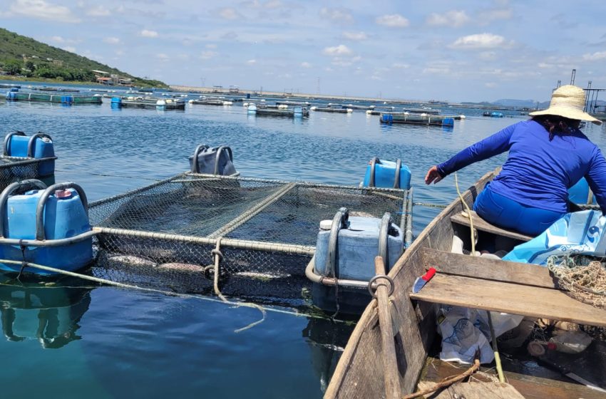  Pescadores artesanais comercializam cerca de dois milhões de reais na quaresma