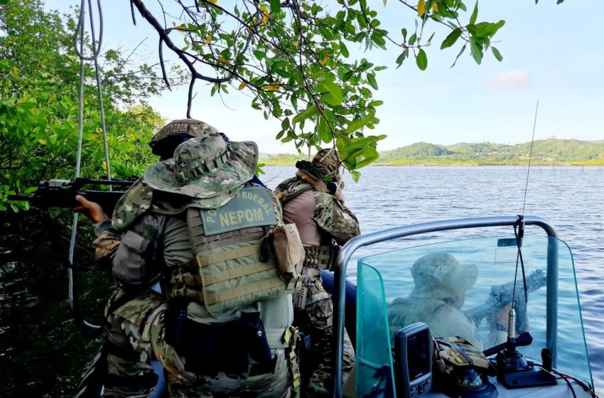  Três acampamentos de traficantes são desarticulados em Maragogipe