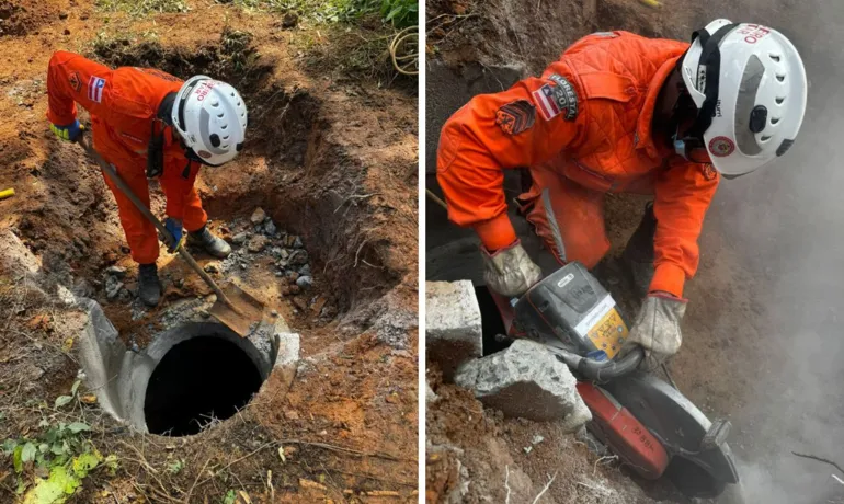  Corpo de Bombeiros resgata égua que caiu em bueiro