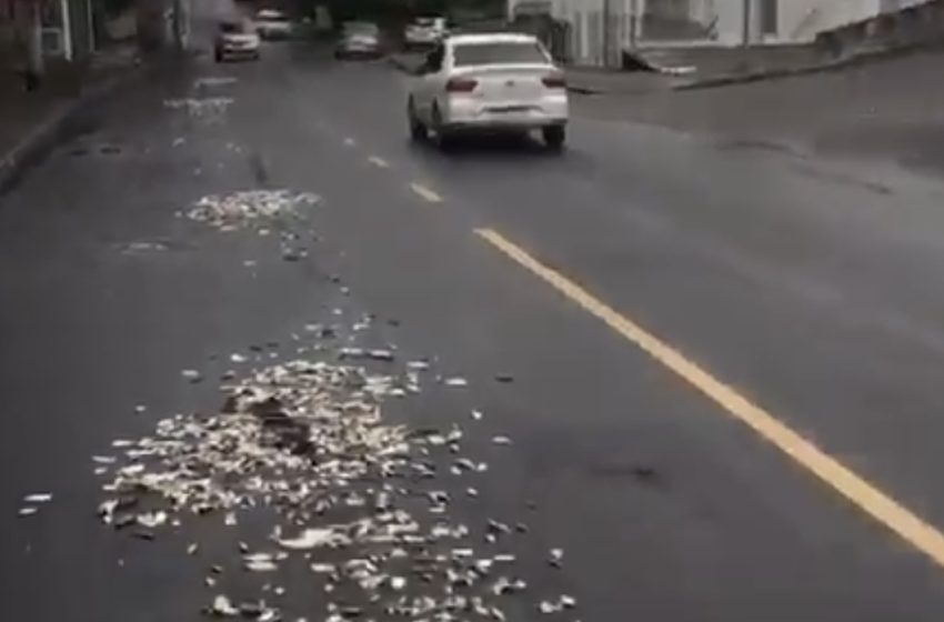  BaVi: Torcedores do Vitória despejam sardinhas na ladeira da Fonte Nova