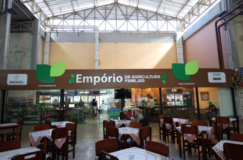  Agricultura familiar une qualidade, sustentabilidade e sabor à mesa de baianos