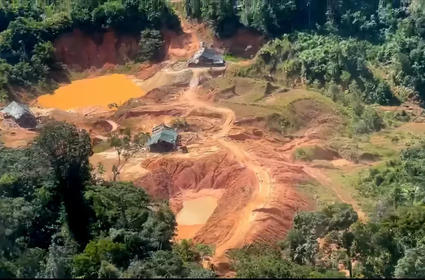  Garimpo ilegal usava trabalho análogo à escravidão no Amazonas