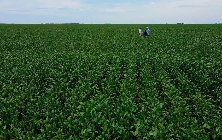  Conab estima que Brasil irá colher 297,5 milhões de toneladas de grãos