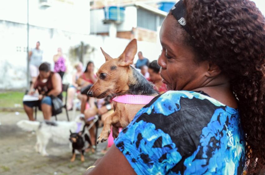  Castramóvel realiza atendimentos no Abaeté até dia 16 de agosto