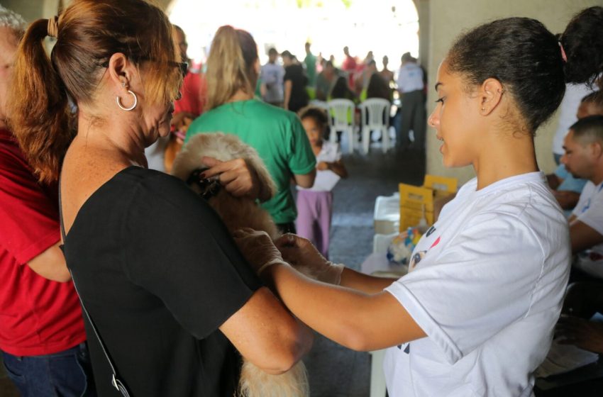  Pau da Lima terá aplicação de vacina V10 para cães e gatos na quinta (16) e sexta-feira (17)