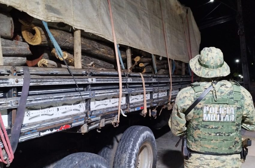  Transporte irregular de madeira é flagrado pela PM em Oliveira do Brejinhos