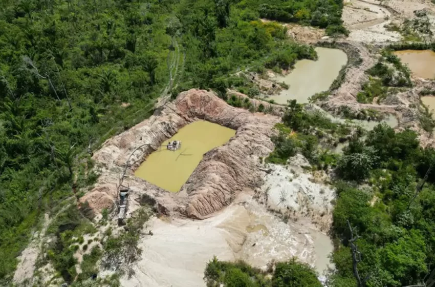  Polícia Federal fecha três garimpos em Terra Indígena Kayapó no Pará