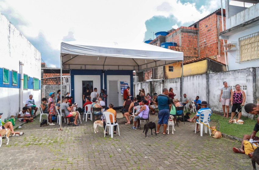  Castramóvel oferece serviço de castração gratuita em Cajazeiras X até mês de julho