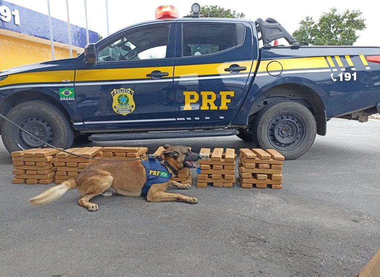  Polícia apreende 100 kg de maconha em ônibus interestadual em Vitória da Conquista