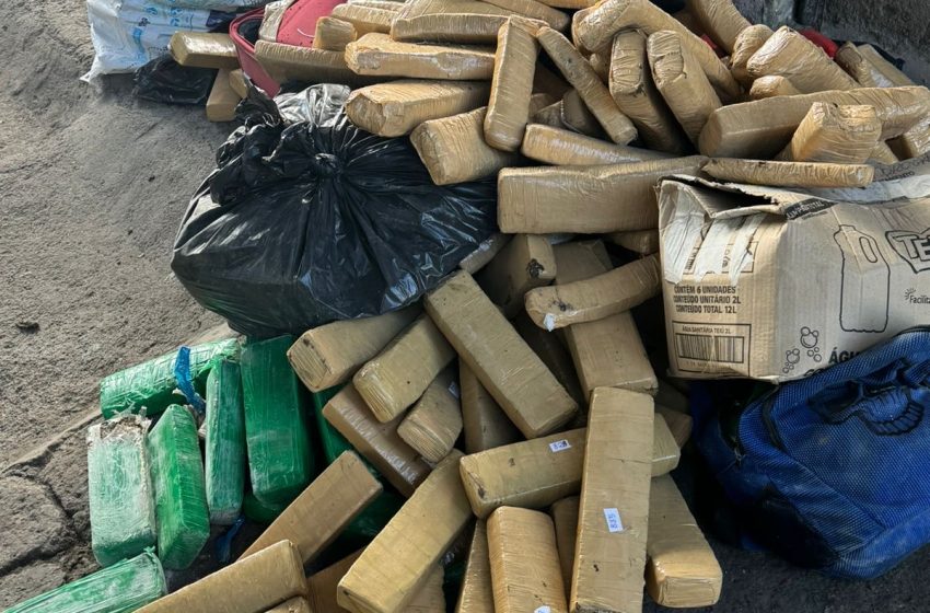  Polícia Civil incinera 800 kg de drogas em Ilhéus