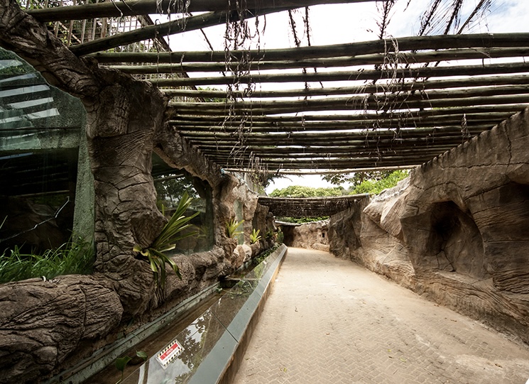  Zoológico de Salvador promove visitas noturnas; confira detalhes