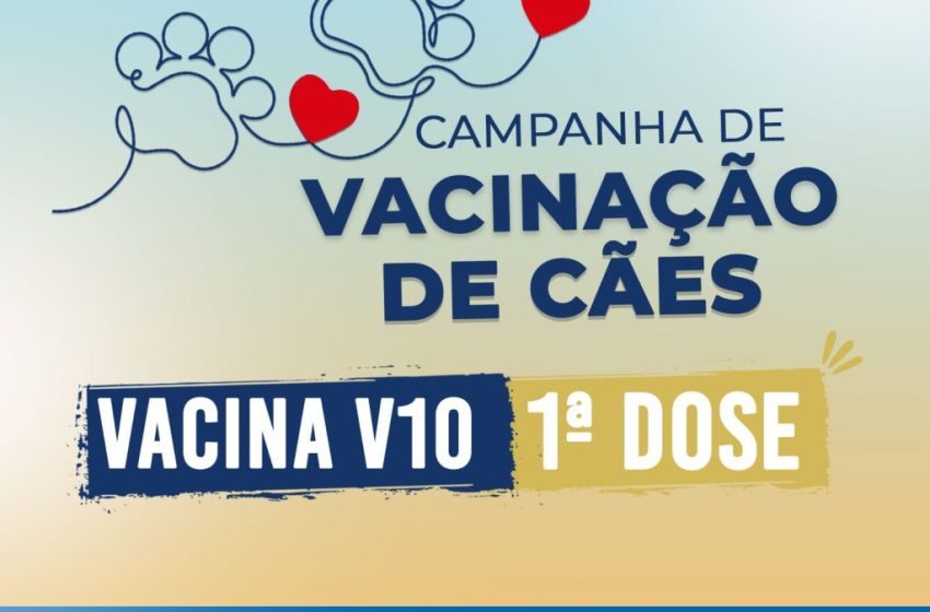  Ação de proteção animal realiza vacinação V10 para cães na UNEB; Confira as datas