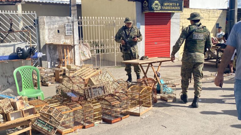  15 homens são presos com aves silvestres em Feira de Santana