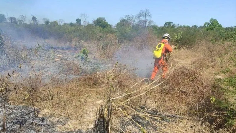  Bahia registra mais de 700 focos de queimadas em agosto