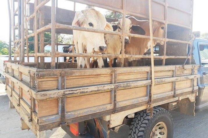  Carne que chega a consumidores de 114 municípios baianos pode não ser própria para consumo