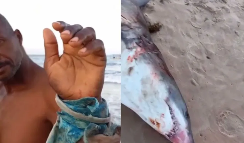  VÍDEO: Pescador é atacado por tubarão em Imbassaí